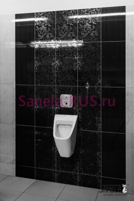 Автоматический смыв писсуара SLP 02NZ арт: 42023 Sanela Чехия (фото, схема)